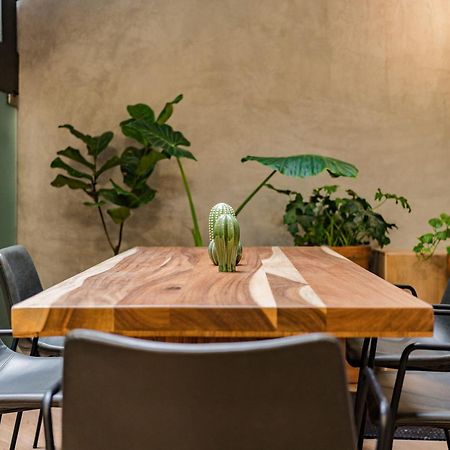 Escandon Suites By Escajal Rooms Мехико Экстерьер фото